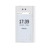 ZKTECO RevFace15, биометрический терминал распознавания лиц (в маске)